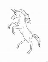 Rearing Unicorn Coloring Page Free Printable Pages sketch template
