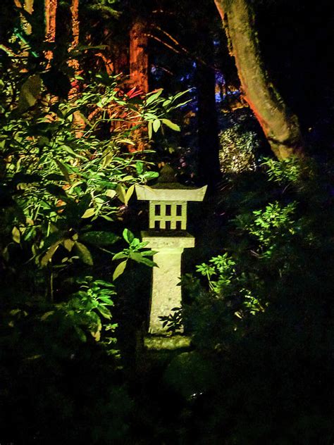 Japanese Garden at night Photograph by Michael Bessler