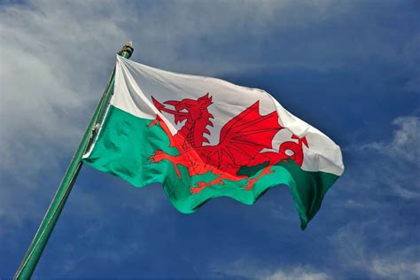 What is the National Animal of Wales? – Emily Embarks