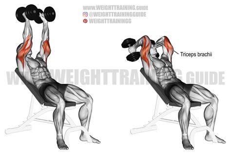 Incline dumbbell triceps extension exercise instructions and video