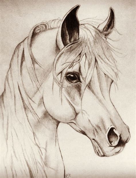 Horse Head Drawing Tutorial at PaintingValley.com | Explore collection of Horse Head Drawing ...