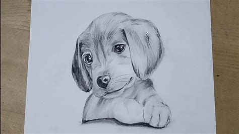 Pencil drawing of a puppy - YouTube