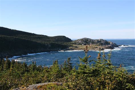 Biscan Cove Path | Hiking The East Coast Trail (& Beyond)