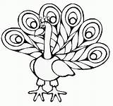 Peacock Coloring Pages For Kids Printable sketch template