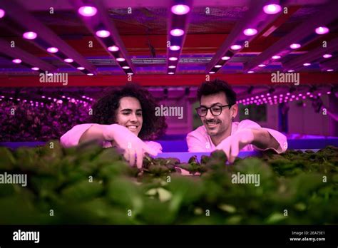 Workers on aquaponic farm, sustainable business and artificial lighting Stock Photo - Alamy