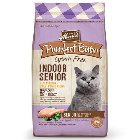 Best Dry Cat Food For Senior Indoor Cats | iPetCompanion