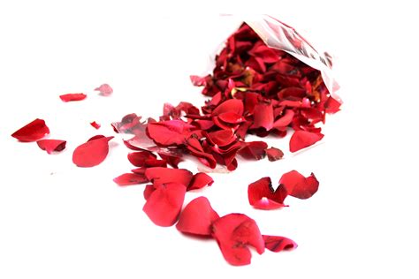 Red Rose Petals - Fields of Colour Online Flower Shop