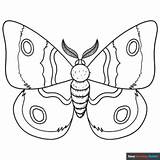 Moth Coloring Page  Easy Drawing Guides sketch template