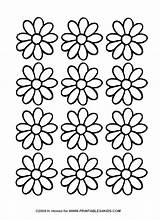 Daisy Flower Coloring Page sketch template
