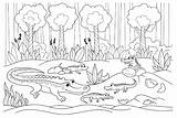Printable Crocodile Coloring Page  Free Pages sketch template