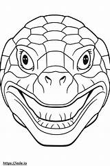 Turtle Snapping Coloring Realistic Pages Common Alligator Printable  sketch template
