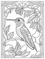 Coloring Hummingbird sketch template