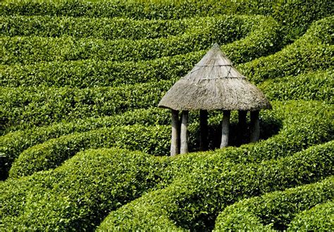 Glendurgan Garden | Forever Cornwall