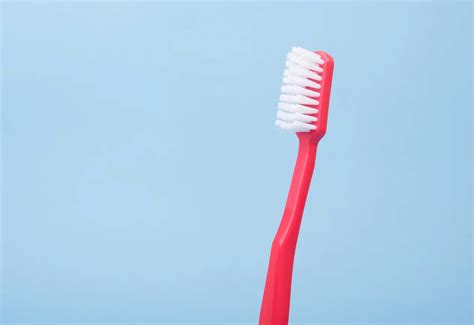 Brushing Technique for Great Gum Health