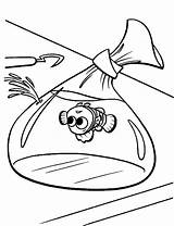 Free Printable Nemo Coloring Pages For Kids sketch template
