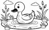 Duck On A Pond Coloring Page  Simple Outline 46632004 Vector Art At sketch template