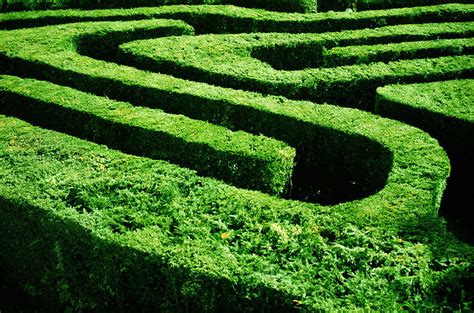 England, London, Hampton Court Maze Photograph by Romilly Lockyer - Pixels