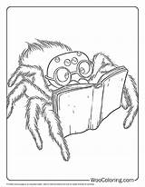 100  Spider coloring Pages Free PDF To Print Woo Coloring sketch template