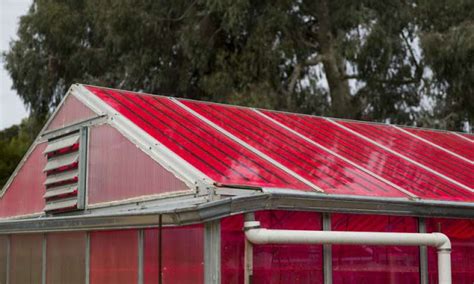 Smart Energy Consulting: Este invernadero alimentado con energía solar hace que plantas crezcan ...