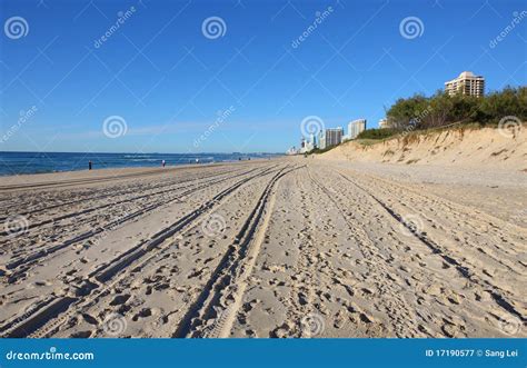 Gold beach stock image. Image of ocean, tree, background - 17190577