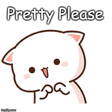 pretty please - Imgflip