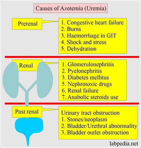 Blood Urea Nitrogen/Creatinine ratio and Interpretations