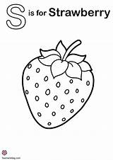 Letter S Coloring Pages TeachersMagcom sketch template