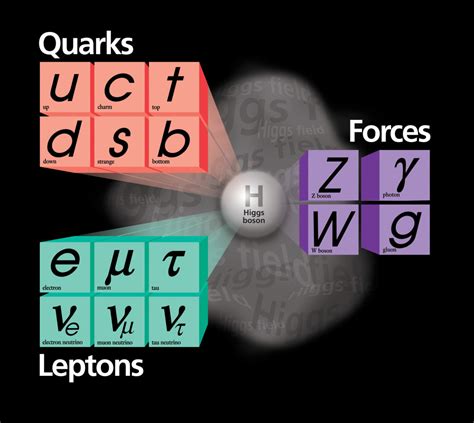 Differences between Leptons and Quarks | Difference Between