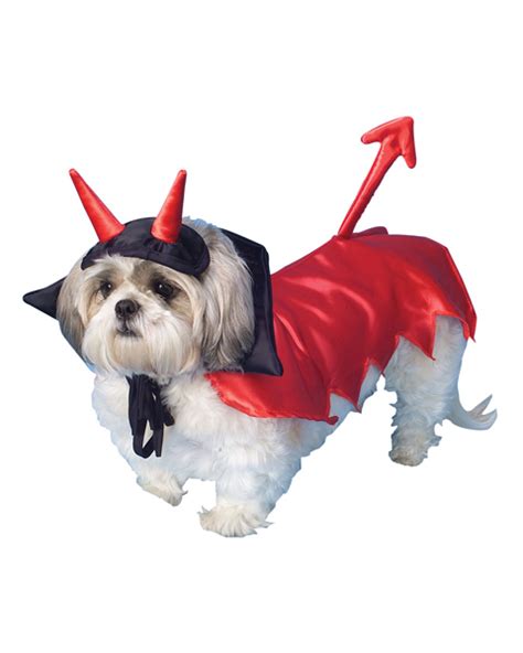 Devil Dog Costume : Devil Hallowen Costume For Dogs