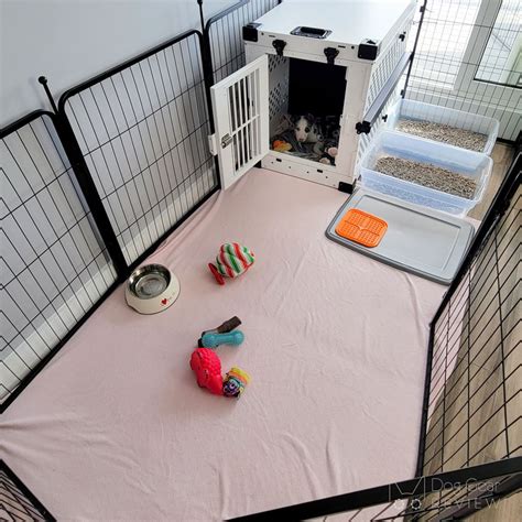 How to Set Up a Puppy Playpen