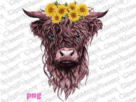 Highland Cow PNG Cow With Sunflowers Cow PNG Highland Cow - Etsy