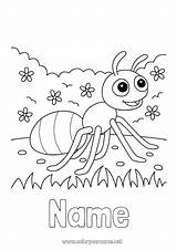 Ant Coloring Page sketch template