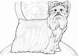 Dog Catcher Coloring Pages sketch template
