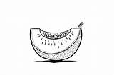 Cantaloupe Coloring Page For Adults Graphic By Forhadx5 · Creative Fabrica sketch template