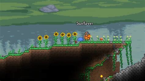 How to Get Sunflowers in Terraria (Quick Tutorial) - YouTube