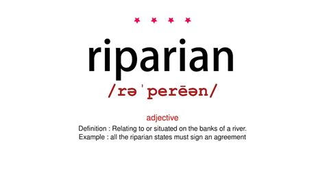 How to pronounce riparian - Vocab Today - YouTube