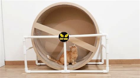 10 Best DIY Cat Wheel Plans (Make a Cat Exercise Wheel)