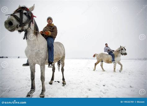 Winter horse riding editorial photo. Image of beauty - 19532781