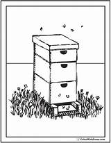 Bee Coloring Pages Hives Flowers And Honey sketch template