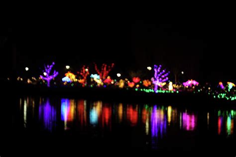 Christmas Lightings 4 Photograph by Siyano Prach