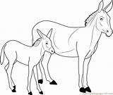 Donkey Coloring Pages Eeyore Printable Shrek Colouring Drawing Kids  sketch template