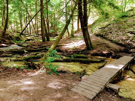 10 Things to Know Before Backpacking the Manistee River Trail | Bustlingabroad