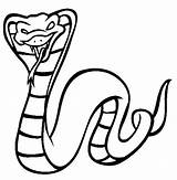 Printable King Cobra coloring Page  Download Print Or Color Online sketch template
