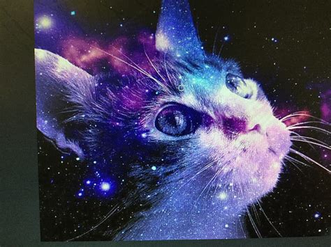 Aggregate more than 89 galaxy cat wallpaper super hot - in.coedo.com.vn