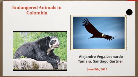 Endangered Animals in Colombia by Angelica Castellanos on Prezi