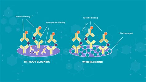 An Introduction to the Enzyme-Linked Immunosorbent Assay – ELISA Test | Technology Networks