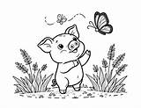 Free Pig Coloring Pages For Kids sketch template