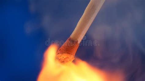 Macro Shot of a Burning Match Against a Blue Studio Background. the ...