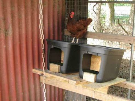 22 Chicken Approved Inexpensive Nesting Boxes