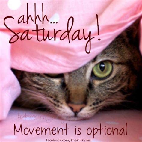 April 7, 2018 – It's Saturday …when we can be lazy and take it easy | Free Online Diary and ...